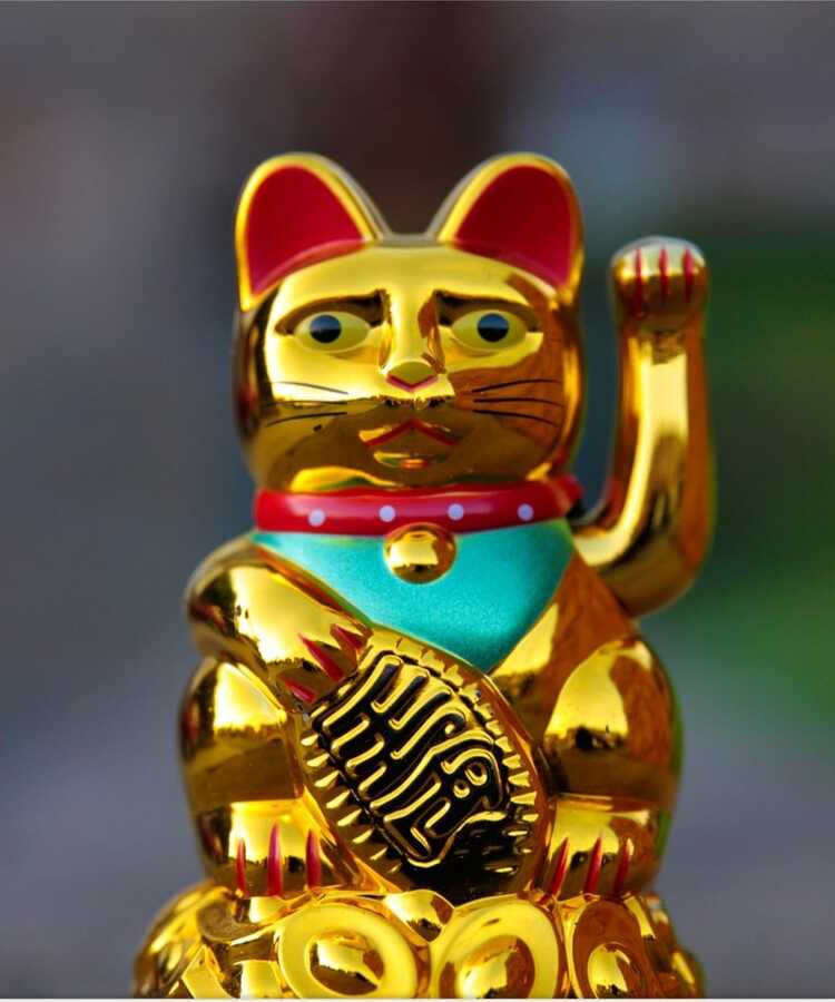 Manufacturer, Exporter, Importer, Supplier, Wholesaler, Retailer, Trader of Cat Statue in New Delhi, Delhi, India.