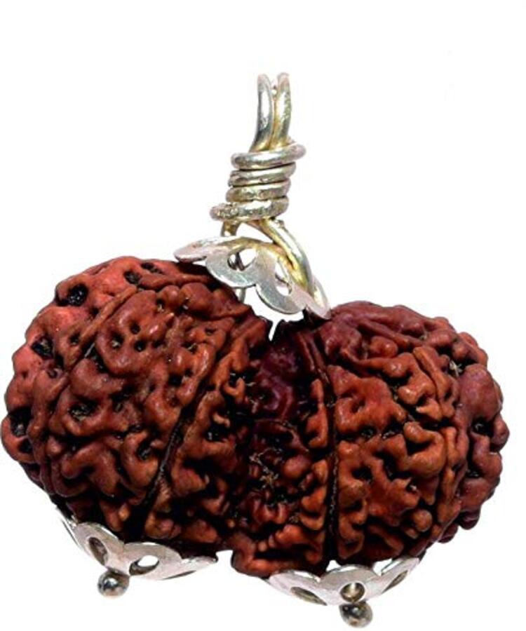 Manufacturer, Exporter, Importer, Supplier, Wholesaler, Retailer, Trader of Gauri Shankar Rudraksha in New Delhi, Delhi, India.