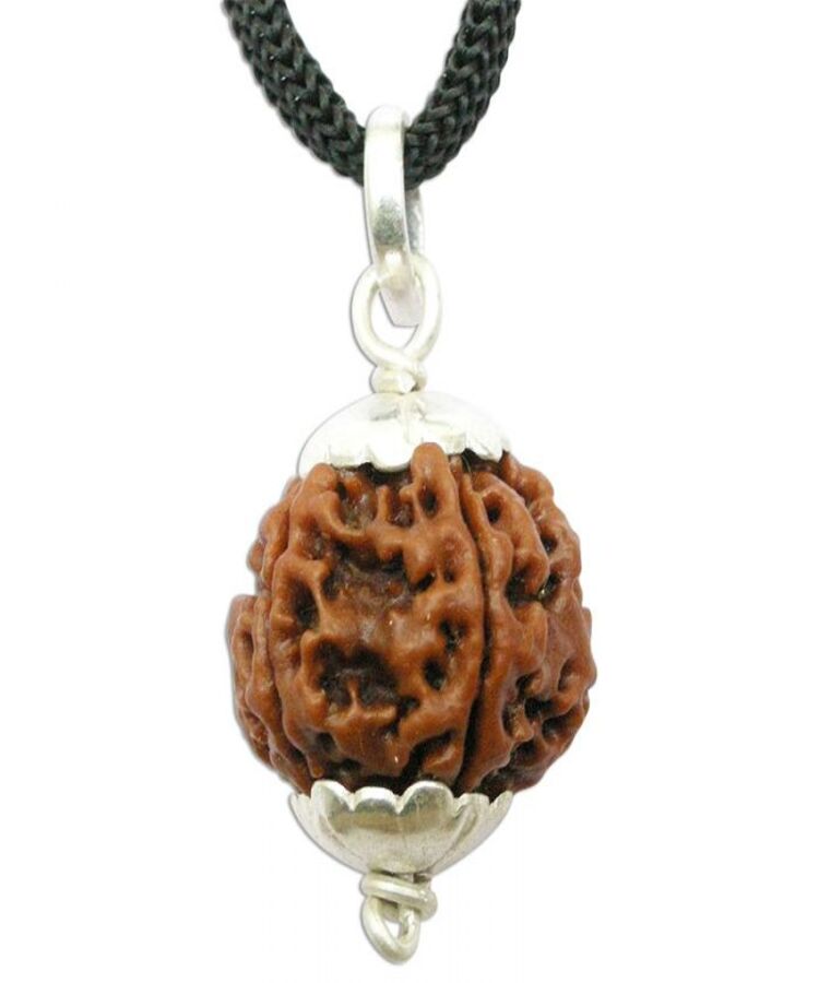 Manufacturer, Exporter, Importer, Supplier, Wholesaler, Retailer, Trader of Punch Mukhi Rudraksha in New Delhi, Delhi, India.